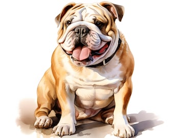 Watercolor Bulldog Clipart: 10 Dog Images (JPGs, Commercial Use)