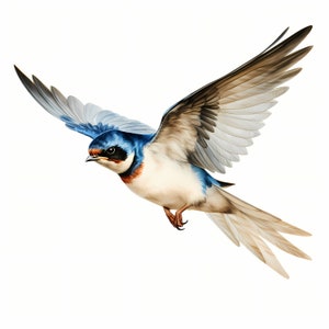 Clipart de andorinha em voo, imagens de pássaros voando, 10 clipart em aquarela, JPGs para impressão, download instantâneo, uso comercial, artesanato em papel