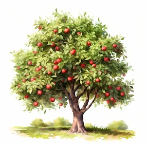 Apple Tree Clipart, Appletree Images, 10 Watercolor Clip Art, Printable JPGs, Instant Download, Commercial Use, Paper craft