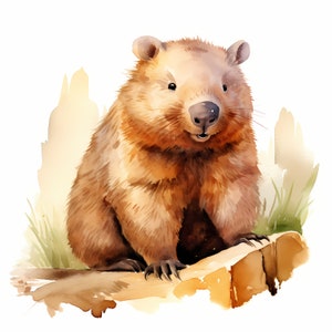 Imágenes de wombats, 10 imágenes de acuarela, JPG imprimibles, descarga instantánea, uso comercial, manualidades de papel