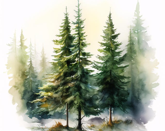 Watercolor Christmas Fir Tree Clipart: Winter Holiday JPG Images (Instant Download, Commercial Use)