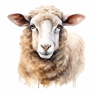 Clipart schapen, afbeeldingen schattige schapen, 16 aquarel illustraties, afdrukbare JPG's, Instant Download, Commercieel gebruik, Papercraft