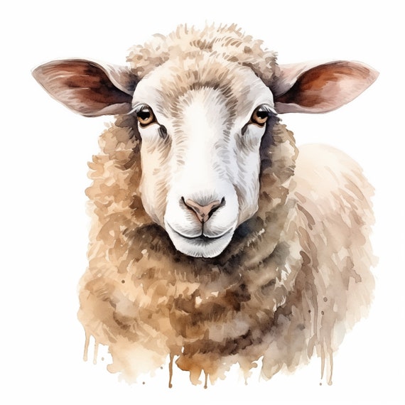 Sheep Clipart, Cute Sheep Images, 16 Watercolor Clip Art, Printable JPGs, Instant Download, Commercial Use, Paper craft