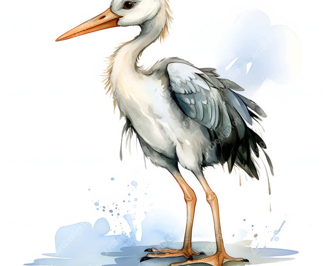 Stork Baby Clipart, Cute Stork Images, 10 Watercolor Clip Art, Printable JPGs, Instant Download, Commercial Use, Paper craft
