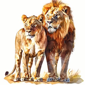 Clipart de família de leões, imagens de leão e leoa, 10 clipart em aquarela, JPGs para impressão, download instantâneo, uso comercial, artesanato em papel