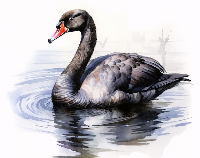 Black Swan Clipart, Elegant Swan Images, 10 Watercolor Clip Art, Printable JPGs, Instant Download, Commercial Use, Paper Craft