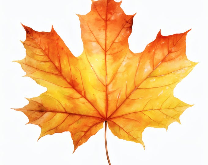 Maple Leaf Clipart, Autumn Leaf Images, 10 Watercolor Clip Art, Printable JPGs, Instant Download, Commercial Use, Paper craft