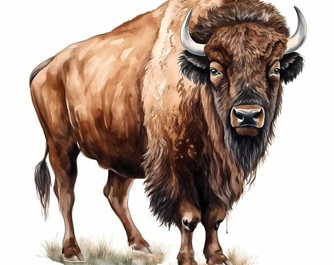 Caucasian Wisent Clipart, European Bison Images, 10 Watercolor Clip Art, Printable JPGs, Instant Download, Commercial Use, Paper craft