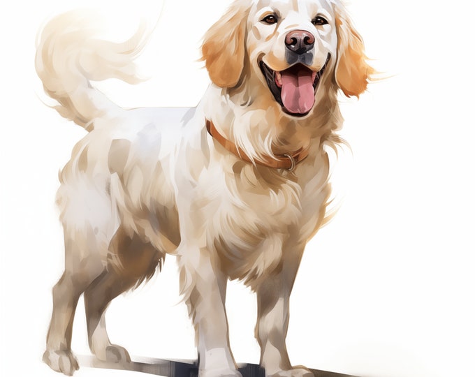 Clumber Spaniel Clipart, Clumber Spaniel Dog Images, 10 Watercolor Clip Art, Printable JPGs, Instant Download, Commercial Use, Paper craft