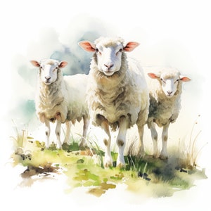 Clipart mouton, mouton à la ferme, 10 images clipart aquarelle, fichiers JPG imprimables, téléchargement immédiat, usage commercial, créations en papier