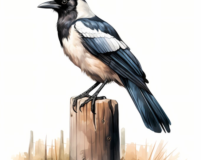 Magpie Clipart, Fence Post Magpie Images, 10 Watercolor Clip Art, Printable JPGs, Instant Download, Commercial Use, Paper craft