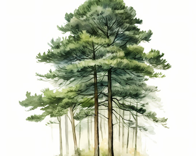 Pine Tree Clipart, Christmas Trees Images, 10 Watercolor Clip Art, Printable JPGs, Instant Download, Commercial Use, Paper craft