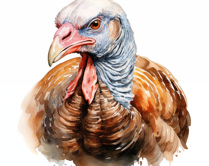 Turkey Bird Clipart, Thanksgiving Images, 10 Watercolor Clip Art, Printable JPGs, Instant Download, Commercial Use, Paper craft