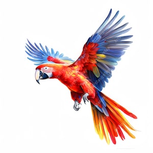 Scarlet Macaw Clipart, Parrots Images, 10 Watercolor Clip Art, Printable JPGs, Instant Download, Commercial Use, Paper craft