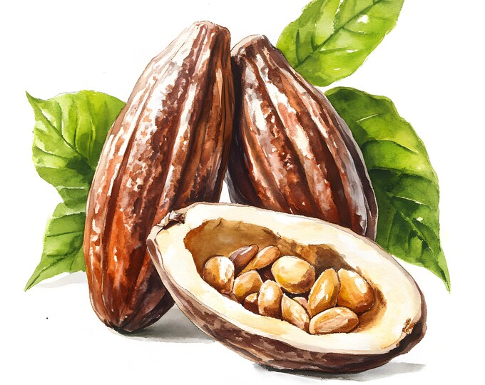 Cocoa Clipart, Cocoa Fruit Images, 10 Watercolor Clip Art, Printable JPGs, Instant Download, Commercial Use, Paper craft