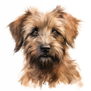 Clipart chien briard, chiot, images Berger de Brie, 10 images clipart aquarelle, fichiers JPG imprimables, téléchargement immédiat, usage commercial, créations en papier