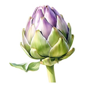 Imágenes prediseñadas de alcachofa, imágenes de plantas de alcachofa, 10 imágenes prediseñadas de acuarela, archivos JPG imprimibles, descarga instantánea, uso comercial, manualidades de papel