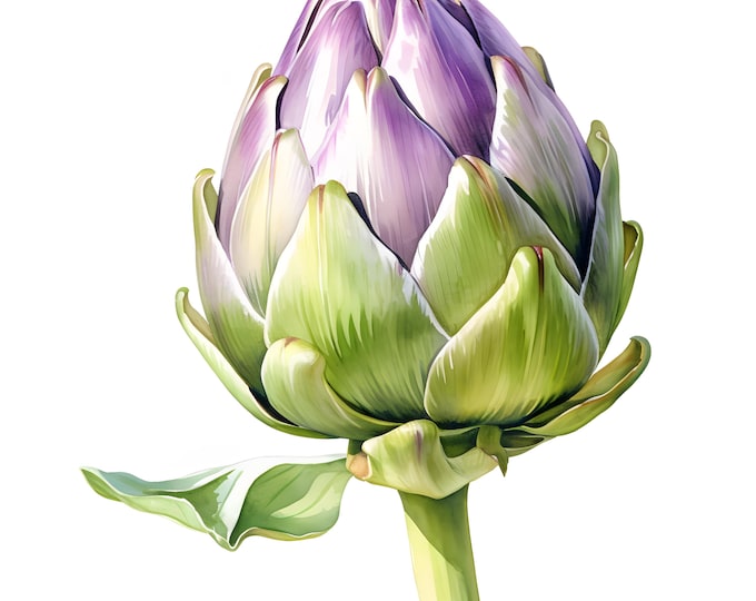Artichoke Clipart, Artichoke Plants Images, 10 Watercolor Clip Art, Printable JPGs, Instant Download, Commercial Use, Paper craft