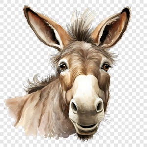 8 PNG Funny Donkey Clipart, Farm Animal Images, Watercolor Clip Art, Instant Download, Commercial Use, Paper craft