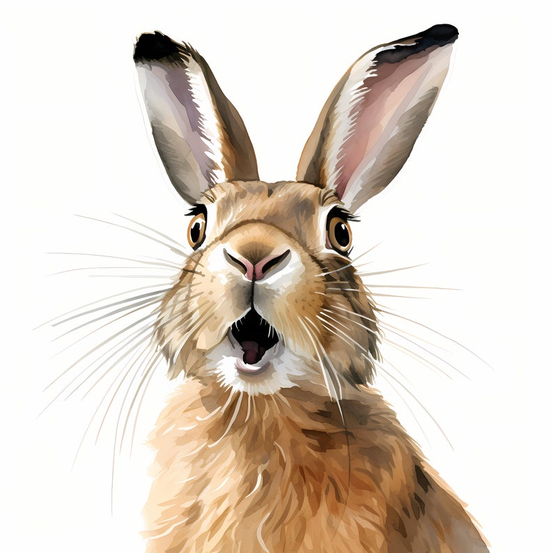 Surprised Hare, Shocked Rabbit, Forest Animal Watercolor Clipart Set ...