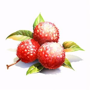 Watercolor Lychee Fruit Clipart: Tropical Food Art, Commercial Use (JPGs, Instant Download)