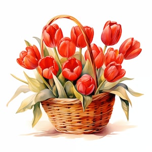 Red Tulips Basket Clipart, Tulips Basket Images, 10 Watercolor Clip Art, Printable JPGs, Instant Download, Commercial Use, Paper craft