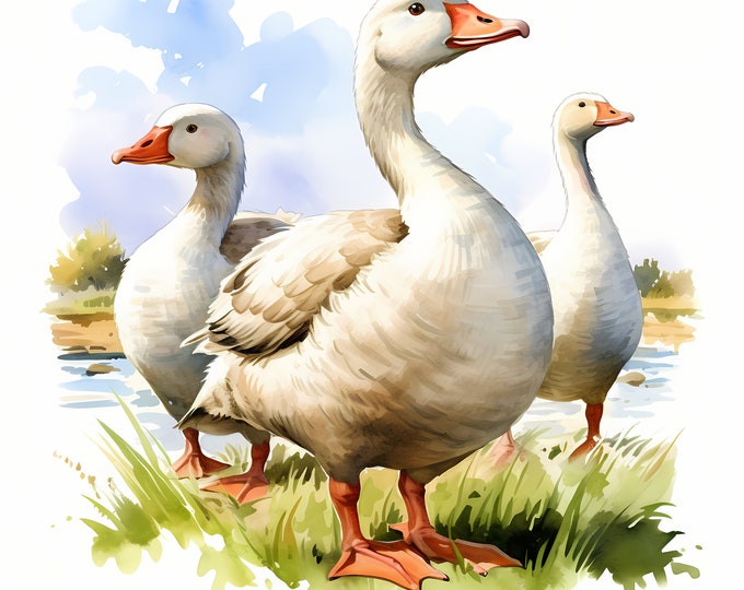 Goose Clipart, Farm Geese Images, 10 Watercolor Clip Art, Printable JPGs, Instant Download, Commercial Use, Paper craft