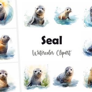 May include: Nine watercolour illustrations of seals in various poses, with splashes of water around them. The text "Seal Watercolor Clipart" is below the images.