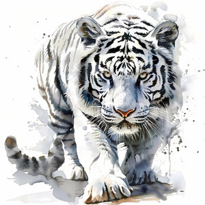 Clipart tigre, Images de tigres blancs, 10 images clipart aquarelle, fichiers JPG imprimables, téléchargement immédiat, usage commercial, créations en papier