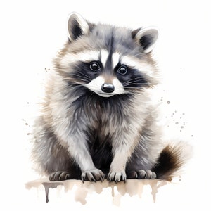 Imágenes de mapaches, 10 imágenes de acuarela, JPG imprimibles, descarga instantánea, uso comercial, manualidades de papel