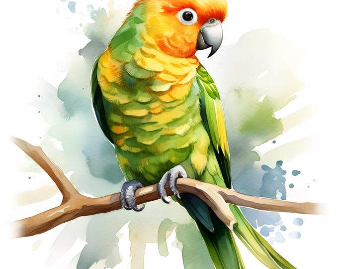 Pineapple Conure Clipart, Pineapple Parrots Images, 10 Watercolor Clip Art, Printable JPGs, Instant Download, Commercial Use, Paper craft