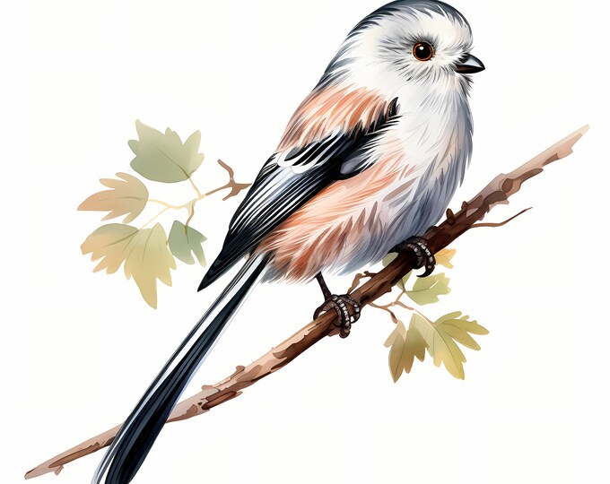 Long Tailed Tit Clipart, Long-Tailed Bushtit Images, 10 Watercolor Clip Art, Printable JPGs, Instant Download, Commercial Use, Paper craft