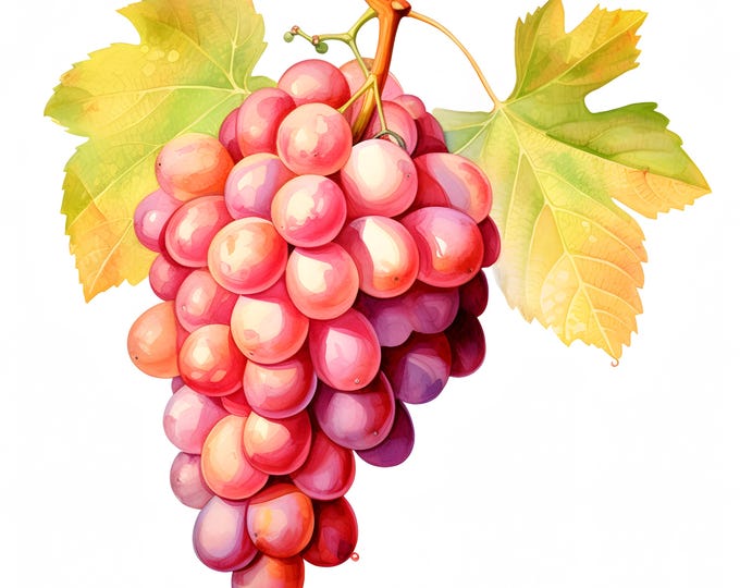 Bunch of Grapes Clipart, Grape Branches Images, 10 Watercolor Clip Art, Printable JPGs, Instant Download, Commercial Use, Paper craft