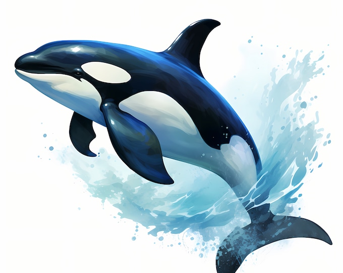 Killer Whale Clipart, Whale In Water Images, 10 Watercolor Clip Art, Printable JPGs, Instant Download, Commercial Use, Paper craft