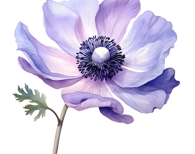 Anemone Clipart, Anemone Flower Images, 10 Watercolor Clip Art, Printable JPGs, Instant Download, Commercial Use, Paper craft