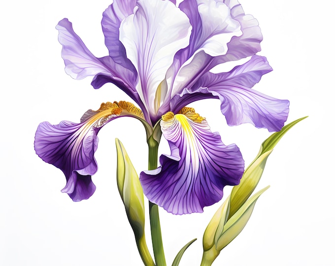 Iris Clipart, Wild Iris Flowers Images, 10 Watercolor Clip Art, Printable JPGs, Instant Download, Commercial Use, Paper craft