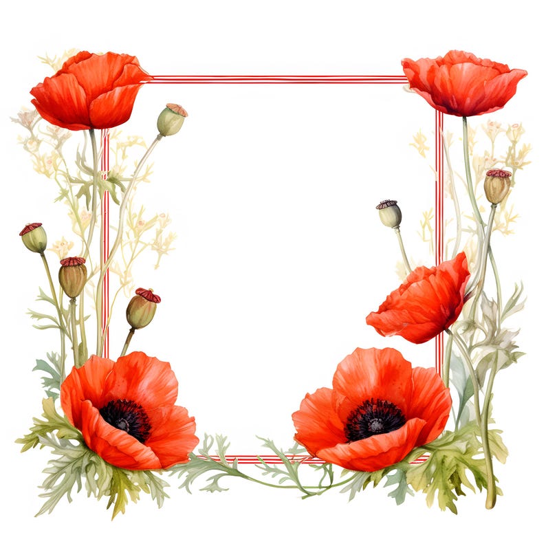 Watercolor Poppy Frame Clipart: Floral Wreath Images (jpgs, Commercial ...