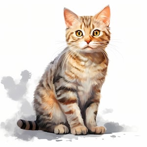Shorthair Cat Clipart, Shorthair Kitten Images, 10 Watercolor Clip Art, Printable JPGs, Instant Download, Commercial Use, Paper craft