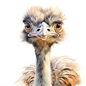 Ostrich Clipart, Grumpy Ostrich Images, 10 Watercolor Clip Art, Printable JPGs, Instant Download, Commercial Use, Paper craft