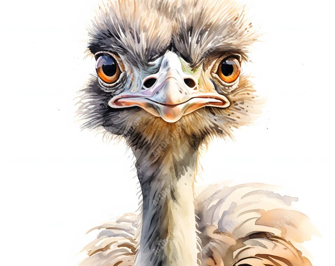 Ostrich Clipart, Grumpy Ostrich Images, 10 Watercolor Clip Art, Printable JPGs, Instant Download, Commercial Use, Paper craft