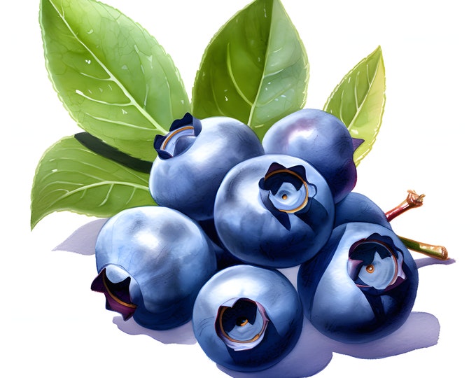 Blueberry Clipart, Blueberries Images, 10 Watercolor Clip Art, Printable JPGs, Instant Download, Commercial Use, Paper craft
