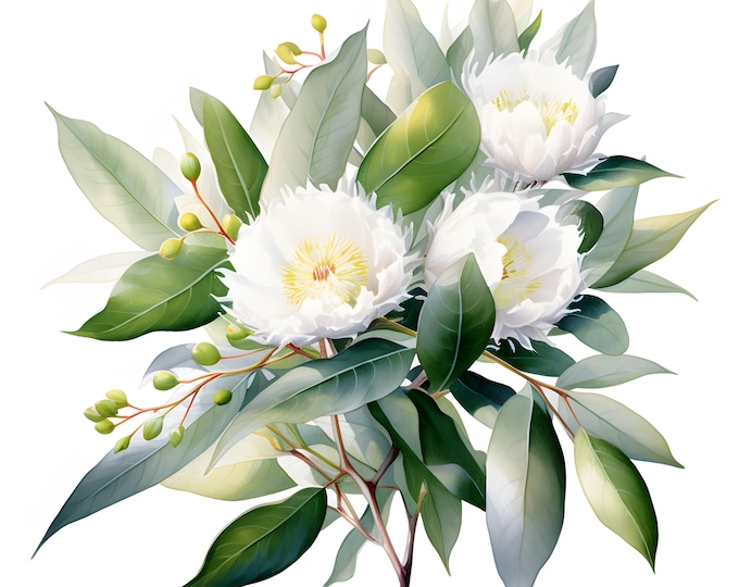 White Flowers Clipart, Wedding Flowers Images, 10 Watercolor Clip Art, Printable JPGs, Instant Download, Commercial Use, Paper craft