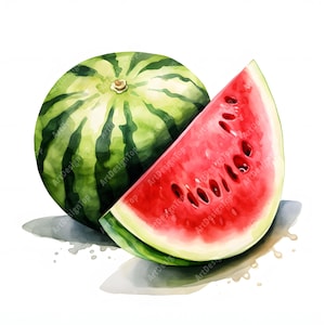 Clipart de sandía, imágenes de frutas de verano, 10 imágenes prediseñadas de acuarela, archivos JPG imprimibles, descarga instantánea, uso comercial, manualidades de papel