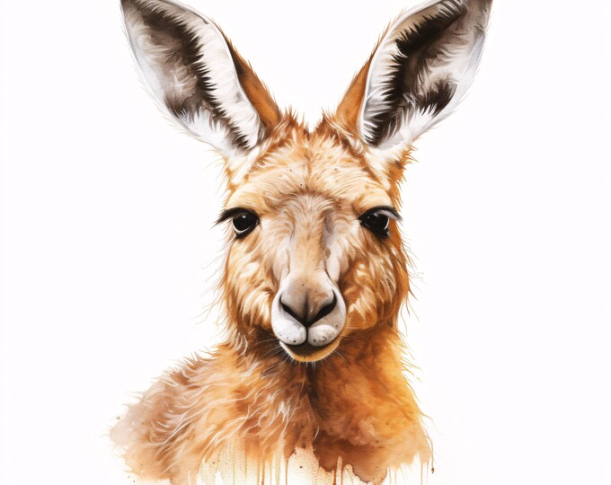 Watercolor Kangaroo Clipart: Australian Animal Art Prints (JPG Download, Commercial Use)