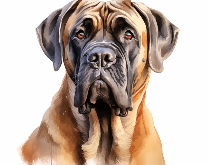 Mastiff Clipart, Mastiff Dog Images, 10 Watercolor Clip Art, Printable JPGs, Instant Download, Commercial Use, Paper craft