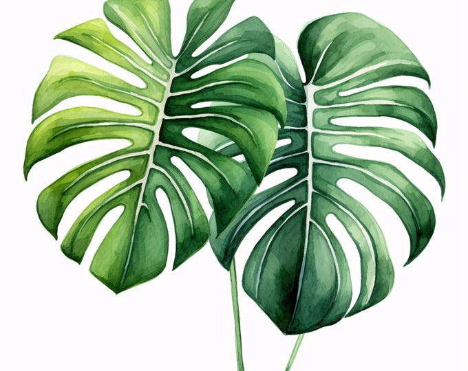 Monstera Leaves Clipart, Tropical Leaf Images, 10 Watercolor Clip Art, Printable JPGs, Instant Download, Commercial Use, Paper craft