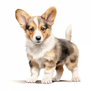 Welsh Corgis Clipart, Welpe Hund Bilder, 10 Aquarell Clip Art, druckbare JPGs, Sofort Download, kommerzielle Nutzung, Papiermodell
