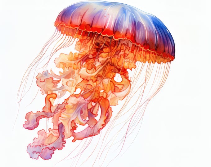 Colorful Jellyfish Clipart, Ocean Sea Life Images, 10 Watercolor Clip Art, Printable JPGs, Instant Download, Commercial Use, Paper craft