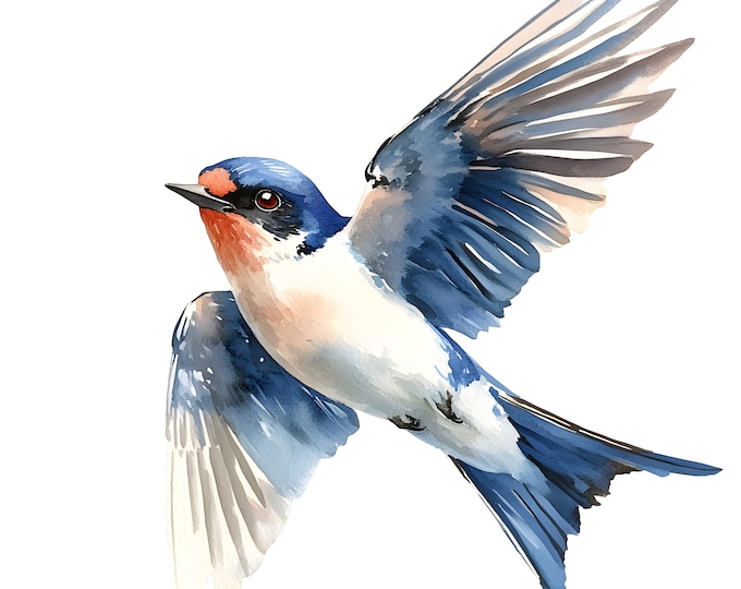 Swallow Clipart, Flying Swallow Bird Images, 10 Watercolor Clip Art, Printable JPGs, Instant Download, Commercial Use, Paper craft