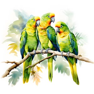 Clipart papegaaien, afbeeldingen exotische papegaaien, 10 aquarel illustraties, afdrukbare JPG's, Instant Download, Commercieel gebruik, Papercraft